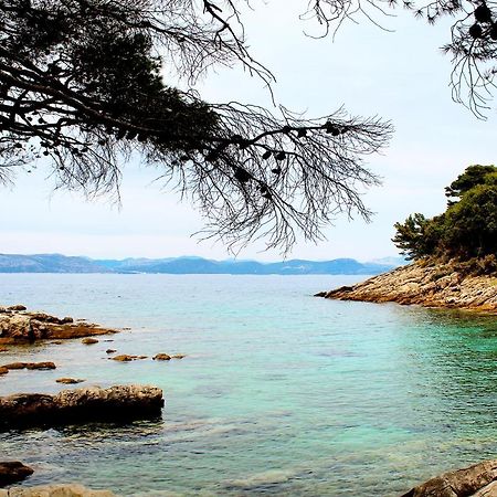 Apartment Marija Mljet 7 Sobra エクステリア 写真