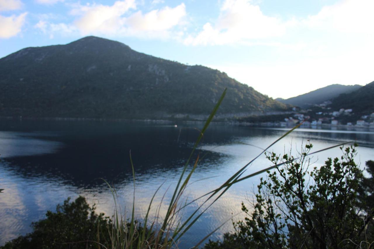 Apartment Marija Mljet 7 Sobra エクステリア 写真