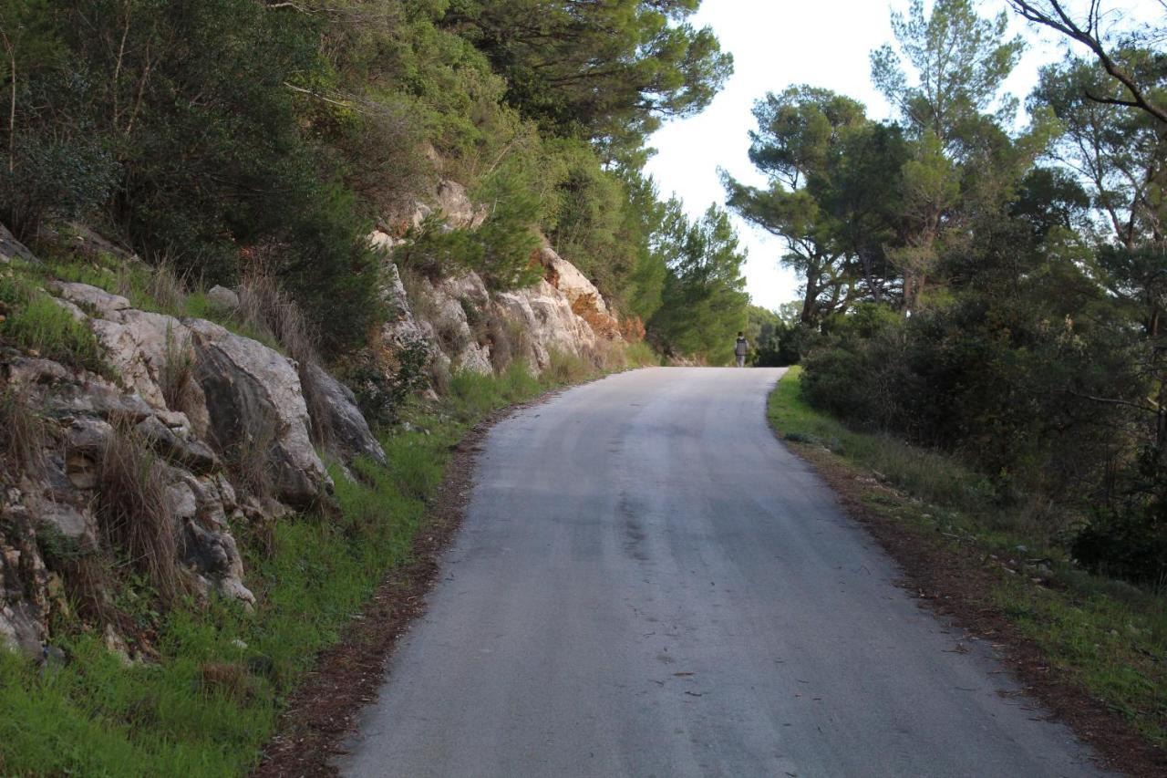 Apartment Marija Mljet 7 Sobra エクステリア 写真