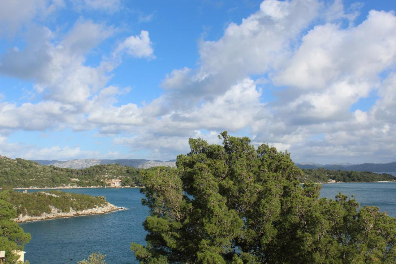Apartment Marija Mljet 7 Sobra エクステリア 写真