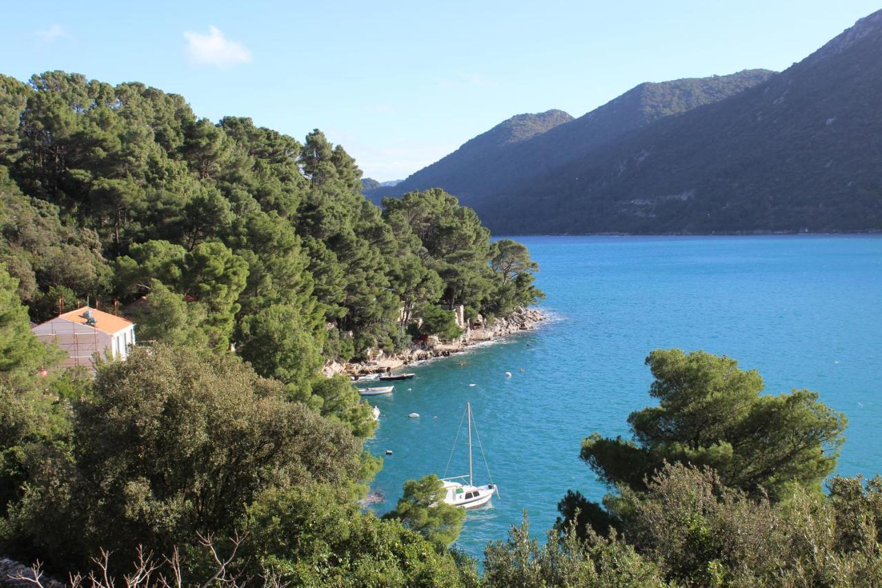 Apartment Marija Mljet 7 Sobra エクステリア 写真